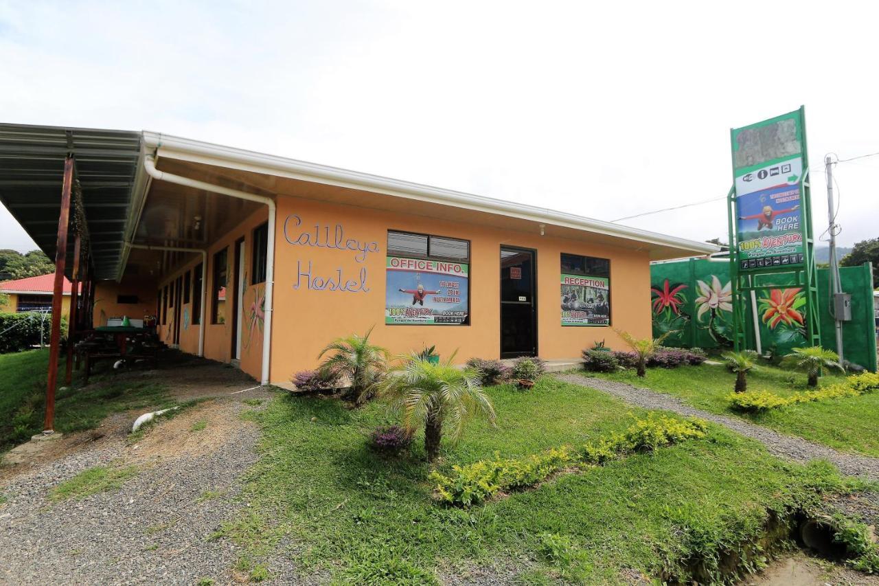 Hostel Cattleya - Monteverde, Costa Rica Exterior photo